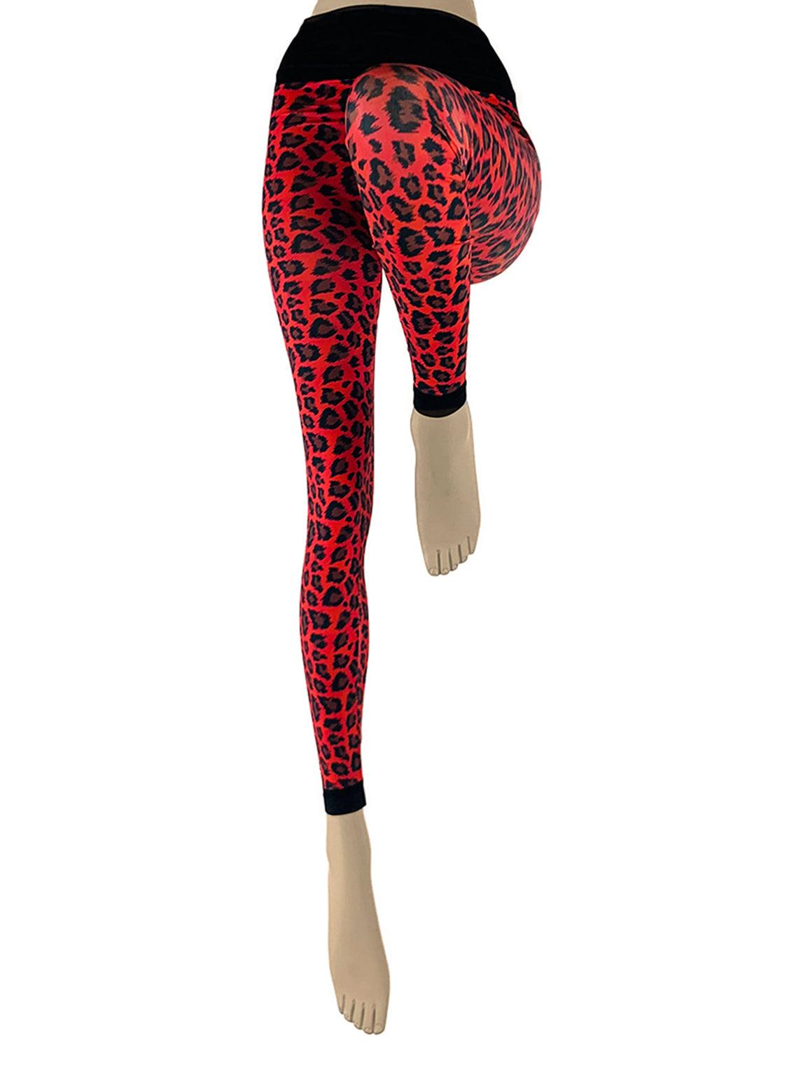 Legging Tapiz 186 - BEST LUXURY STYLE AND ITALIAN CULTURE